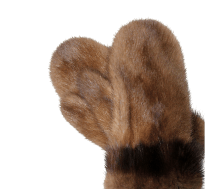 Аксессуары